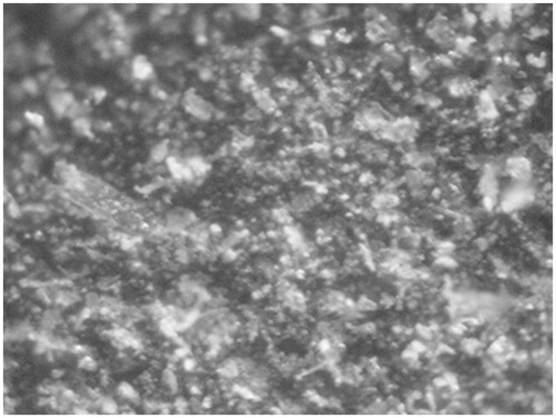 Figure 3. Typical image of the collecting electrode surface. The transverse size of the image is about 1 mm.