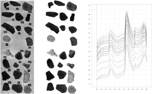 Figure 4. Hyperspectral Images processing steps. From the left: image as recorded by the hyperspectral camera, with the items positioned on a conveyor belt; the image cleaned from the background (the conveyor belt and the labels); the spectra averaged for each item (every curve represents one lithic tool in the image).
