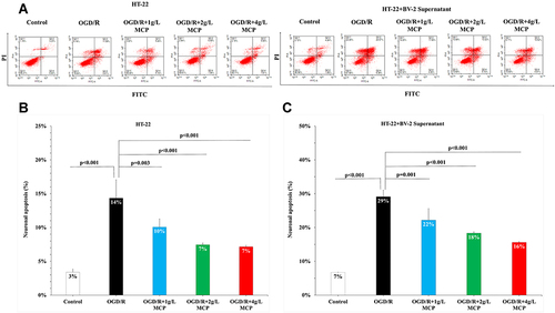 Figure 5 MCP attenuated neuronal cell apoptosis in OGD/R model. (A) Neuronal cell (HT-22) apoptosis after OGD/R was assessed by flow cytometry. (B) Representative flow cytometry images of neuronal cell (HT-22) apoptosis. (C) Representative flow cytometry images of neuronal cell (HT-22) apoptosis, when co-cultured with supernatant of BV-2 cells. MCP indicates modified citrus pectin, OGD/R, oxygen-glucose deprivation/reperfusion. Data are mean ± standard deviation, and n=5 per group.