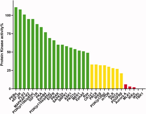 Figure 7. Selectivity profile of compound 15y measured at a concentration of 1.0 μM in a pannel of 31 kinases (red columns denote <20%, yellow columns denote between 20% and 40% and green columns denote >40%).