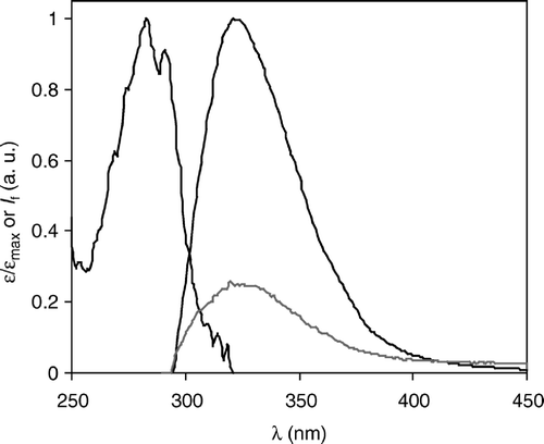 Figure 1.  Absorption and emission (λexcitation=288 nm) spectra of γM4 in POPC/Chol 88:12 vesicles (black lines) and emission spectrum of γM4 in POPC/Chol 55:45 (mol:mol) vesicles (gray line) at room temperature. The noise in the absorption spectrum is due to a maximum absorbance of ∼0.05 in a high scattering MLV suspension, an effect for which the spectrum had to be corrected. Peptide concentration is 0.7 mol% relative to total lipid. IF: steady-state fluorescence intensity; a.u.: arbitrary units.
