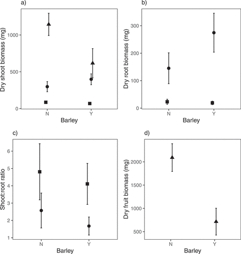 Figure 4. Shoot biomass (a), root biomass (b), shoot:root ratio (c) and fruit (inflorescence) biomass (d) of Scandix pecten-veneris at harvest 1 (42 days after sowing – square), harvest 2 (92 days after sowing – circle) and harvest 3 (162 days after sowing – triangle) when grown in the presence or absence of barley (cultivar Odyssey) in a glasshouse experiment. Barley had a significant negative effect on shoot biomass and fruit (inflorescence) biomass as the growing season progressed and a significant positive effect on root biomass. Means of untransformed data (n = 11) are presented and error bars are 95% confidence intervals