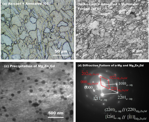 Figure 1. (a) Microstructure of coarse-grained (CG) and (b) multiaxial forged ultrafine-grained (UFG) Mg-2Zn-2Gd alloy. (c) A representative transmission electron micrograph illustrating Mg3Zn3Gd precipitates in the α–mg matrix. (d) Electron diffraction pattern [Citation6–8].