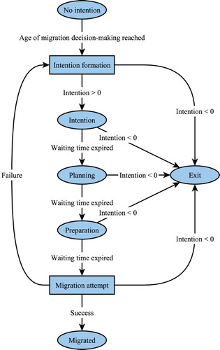 Figure 2 Possible transitions between different states in the migration decision model