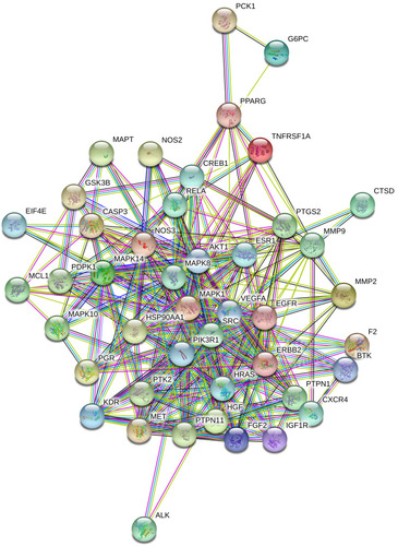 Figure 2 Protein-protein interactions (P > 0.7) of 44 insulin-resistance-related targets of MOS.