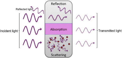 Figure 7. Schematic illustration of the main mechanisms affecting the transparency of a material.