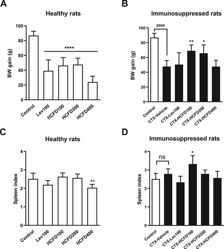 Figure 2. Effect of HCFD on body weight gain (g) and spleen index of treated rats for 14 days with different doses of lyophilized HCFD on healthy rats (A and B) and immunosuppressed rats (C and D). Control group received normal saline 4 mL/kg, while CTX-Vehicle group received cyclophosphamide (100 mg/kg) alone. CTX-Lev100 group received CTX (100 mg/kg) and levamisole (100 mg/kg), whereas CTX-HCFD100, CTX-HCFD200 and CTX-HCFD400 received CTX (100 mg/kg) and lyophilized HCFD of 100, 200 and 400 mg/kg, respectively. Results were expressed in body weight gain (g) and spleen index as mean ± SD from 6 rats each group. No significant difference (ns) and ####p < .0001 significant difference were expressed when compared between control group and CTX-Vehicle. *p < .05, **p < .01 and ****p < .0001 significant differences were expressed when compared with control group in healthy rats or CTX-Vehicle in immunosuppressed rats. Statistical significance was determined using one-way ANOVA followed by Dunnett’s multiple comparisons test.