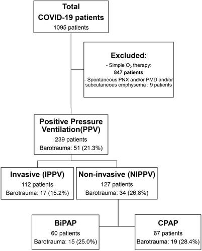 Figure 1 Flow chart demonstrating the distribution of patients, inclusion and exclusion, and ventilation.