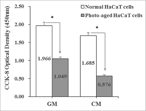 Figure 2. The formation of photo-aged HaCaT cells induced by UVB was confirmed. Proliferation rates of photo-aged HaCaT cells decreased compared with normal keratinocytes cultured in a growth medium (GM) or control medium (CM).