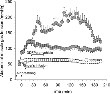 Figure 5 Series III. Oxygen tensions (filled symbols) and carbon dioxide tensions (open symbols) vs. time in abdominal muscle of hematologically normal rats breathing oxygen (all data points are mean values + or − SE). Control rats (squares; n = 4) received vehicle plus Ringer's solution i.v. and treatment rats (circles; n = 4) received 0.5 ml/kg i.v. of a 2% dodecafluoropentane emulsion (DDFPe) plus Ringer's solution.