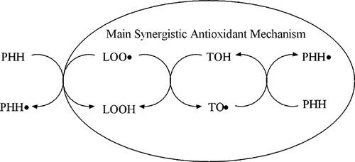 Figure 9 Synergistic antioxidant mechanisms of PHH and TOH in the linoleic acid/FTC system.