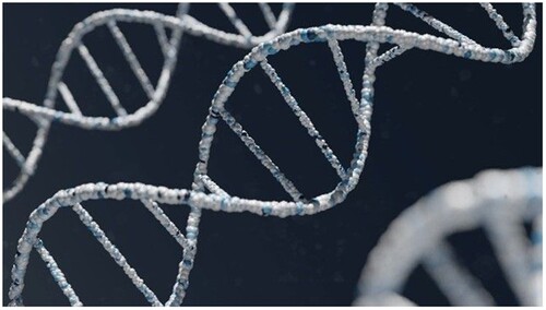 Figure 1. DNA strands. Photo by Warren Umoh on Unsplash.