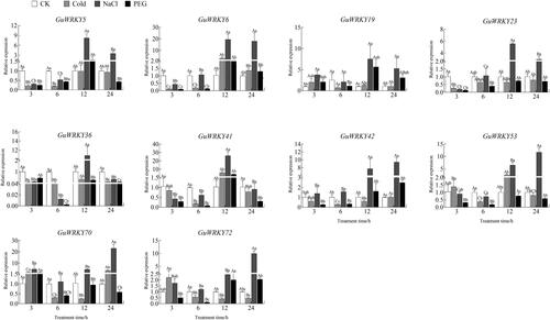 Figure 5. Relative expression of 10 GuWRKYs in root under low temperature, salt and drought treatments. The y-axis indicates the relative expression levels of GuWRKY genes using the 2−ΔΔCT method. The x-axis represents the RNA samples from the roots in different treatments at four time points (3 h, 6 h, 12 h, 24 h), from left to right: CK (normal growth), cold (4 °C low temperature treatment), NaCl (150 mmol·L−1 NaCl salt treatment), PEG (15% PEG-6000 drought treatment). Actin was used as the internal reference gene for specific expression analysis. Data shown are mean values ± SEM (n = 3). different capital letters indicate significant differences among the different time points under the same treatment at 0.05 level, and different lowercase letters indicate significant differences among the treatments at the same time point at 0.05 level (LSD test).