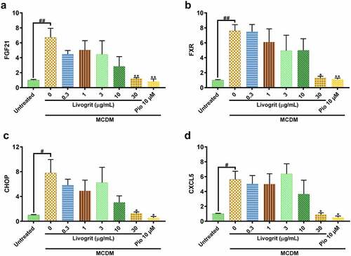 Figure 4. Gene expression analysis of NASH-induced HepG2 spheroids post (72 h) treatment with Livogrit (0–30 µg/mL) and Pioglitazone (10 µM). MCDM-induced gene overexpression was observed in NASH associated genes: (a) FGF21, (b) FXR (c) CHOP, and (d) CXCL5 which decreased in the presence of Livogrit.