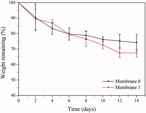 Figure 4. Weight remaining (%) of membrane 0 and membrane 1 in time.