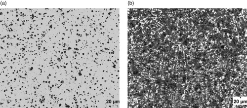 Figure 6. (a) Un-etched optical micrograph of 3.74% Al-ductile iron at 20 μm mag. (b) Etched optical micrograph of 3.74% Al-ductile iron at 20 μm mag. (2% Nital for 12 s).