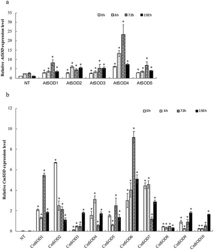 Figure 1. Relative RNA expressions of the Arabidopsis thaliana superoxide dismutase (AtSOD) and Cucurbita moschata SOD (CmSOD) genes in non-transgenic (NT) Arabidopsis plants and transgenic Arabidopsis lines under chilled conditions.A. The AtSOD gene expression in NT plants and T3 homozygote AtSOD1 ~ 5 lines.B. The CmSOD gene expression in NT plants and T3 homozygote CmSOD1 ~ 10 lines.Total RNA in all tested plants was extracted from leaves of 2-week-old plants subjected to 4°C for 0 (control), 6, 72, and 192 h of chilling treatment. Relative amounts were calculated and normalized with respect to AtActin-8 RNA. Values are the means of three replicates with the corresponding standard deviation. The gene expression is compaired to NT plants and an asterisk indicates a significance level of p ≤ 0.05.