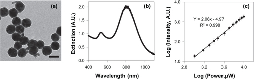 Figure 1 a) TEM of GGS-NPs. Scale bar = 40 nm. b) Extinction spectrum of the GGS-NPs. c) GGS-NPs displayed a quadratic dependence of luminescence intensity on excitation power when exposed to an 800 nm pulsed laser.