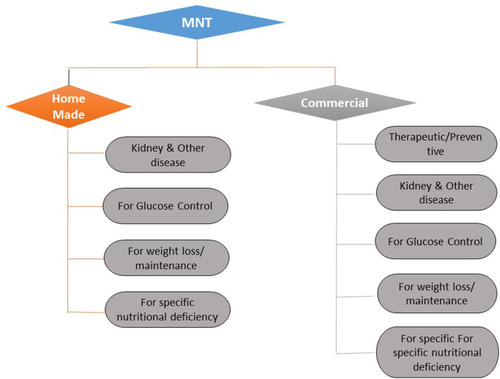 Figure 3 Classification of MNT: home-made/commercial.