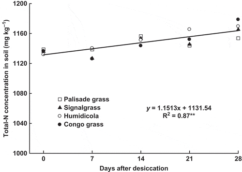 Figure 4 Total nitrogen (Total-N) concentration in soil as affected by time after brachiaria grasses desiccation with glyphosate (mean of four species: palisade grass (Brachiaria brizantha (Hochst. ex A. Rich) Stapf), signalgrass (Brachiaria decumbens Stapf), humidicola (Brachiaria humidicola (Rendle) Schweick) and Congo grass (Brachiaria ruziziensis Germain et Evrard)). ** = significant (F test, P > 0.01).