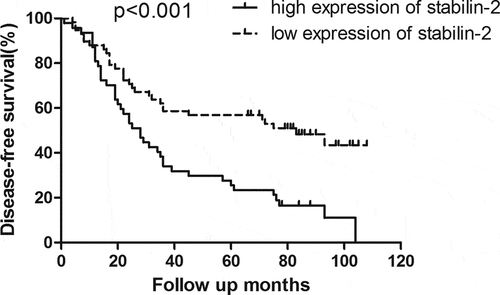 Figure 2. Patients with high expression of Stabilin-2 had a poorer DFS than those with low expression of it (p < 0.001)