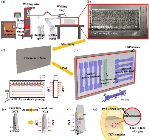 Figure 1. The experimental procedure: (a) wire arc DED system; (b) wire arc DEDed component; (c) LSP parameters; (d) sampling positions; (e) quasi-in-situ CT experiment; (f) microhardness and EBSD position; (g) prepare method of TEM sample.