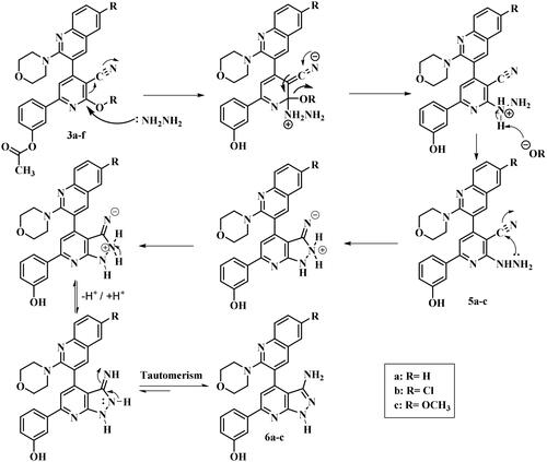 Figure 3. Proposed mechanism for formation of 3-aminopyrazolo[3,4-b]pyridine derivatives 6a–c.