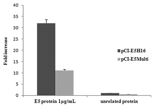 Figure 6. Cell-mediated immune responses in vaccinated mice. C57BL/6 mice were immunized by intramuscular administration of the various genetic vaccines as described in “Materials and Methods”. IFN-gamma production was measured in an ELISPOT assay after specific antigenic stimulation with E5 protein. Data are presented as fold-increase responses to the E5 protein, compared with mice vaccinated with empty vector, and they represent the means of all of the mice in the groups ± SD.