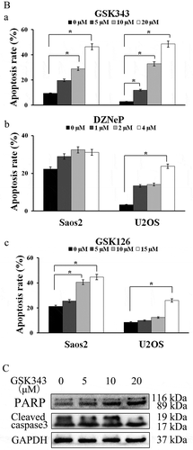 Figure 1. (Continued)