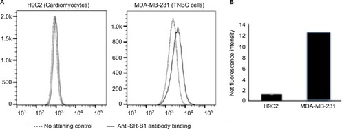Figure 4 Flow cytometry analysis of SR-B1 expression in malignant vs normal cells.