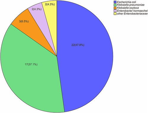 Figure 2 Microbial characteristics of CRE strains isolated from 44 patients with positive CRE colonization screening.