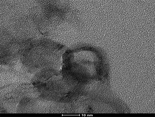 Figure 3. TEM images of the final product of autogenic thermal treatment of PET with ferrocene (25 wt%) at 800ºC for 20 hr (sample code 10Fe).