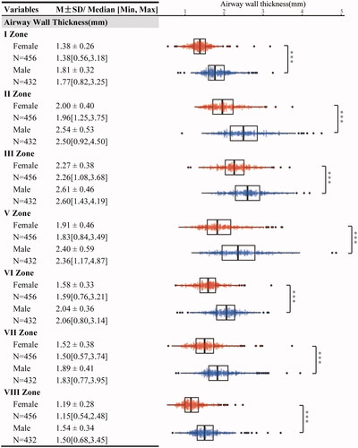 Figure 4. Comparative AWT by sex. This figure features a series of box-and-whisker plots with superimposed individual data points, displaying the distribution of airway wall thickness (AWT) in millimeters (mm) for seven zones: I zone, II zone, III zone, V zone, VI zone, VII zone, and VIII zone. The plots are color-coded to differentiate between female (N = 456, in red) and male (N = 432, in blue) examinees, with each plot providing detailed statistics including mean ± standard deviation (SD), median, and the range [minimum, maximum]. Significant differences between sexes are indicated by asterisks (*** for p < 0.001).