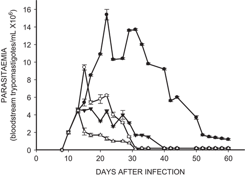 Figure 3.  Effect of ethyl ester of N-propyl oxamate (Et-NPOX) (▵), ethyl ester of N-isopropyl oxamate (Et-NIPOX) (▾), and nifurtimox (○) on acute parasitemia of mice infected with NINOA T. cruzi strain, using as a control (•) infected and non-treated mice. The drugs were administered orally 10 mg/kg per day during 60 days.