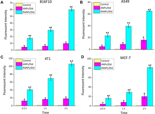 Figure 2 Time-dependent cellular uptake of ANPs/Did and RANPs/Did after incubation with B16F10 (A), A549 (B), 4T1 (C)and MCF-7 cells (D) for 0.5 hr, 1 hr, and 2 hrs as determined by flow cytometry analysis. Data represent means ± SD (n = 3). *p < 0.05 vs control. #p < 0.05 vs ANPs/Did.