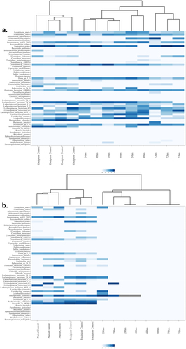 Figure 2. Heatmap with dendrogram demonstrating log-transformed relative abundance and clustering of bacterial species in the mouse gut after 24, 48, and 72 h of treatment. (a) Low-dose ciprofloxacin. (b) Triple combination high-dose ampicillin, ciprofloxacin, fosfomycin. Note the clustering together of control versus the clustering together of treated mice. Species were ordered in each graph to facilitate visualization of clustering. Color indicates the relative abundance data after log transformation.