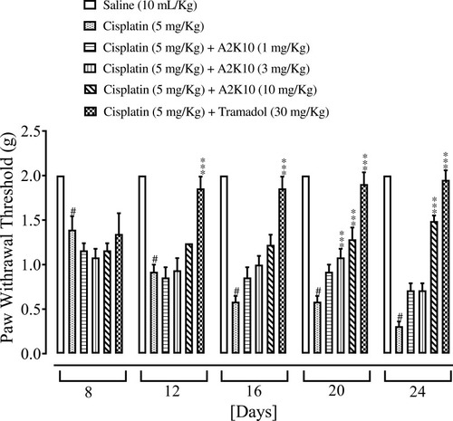 Figure 12 Bar chart showing effects of (E)-2-(4-methoxybenzylidene)cyclopentan-1-one (A2K10) and tramadol on mouse paw–withdrawal threshold in cisplatin-induced neuropathic pain. Data presented as means ± SEM (n=5). #p<0.001 vs saline group and ***p<0.001 vs cisplatin group on one-way ANOVA with Tukey’s post hoc test.