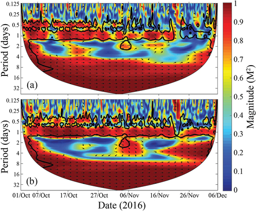 Figure 11. The wavelet coherence (M2) of WTC analysis between VSM derived from GNSS-R parameters and in situ VSM at P10cm. (a)  unwparameter, (b) heffunw−calparameter.