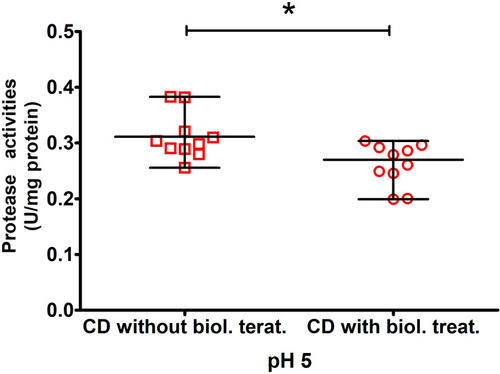 Figure 6 Activities of acidic proteases (pH 5.0) in patients with (N=10) and without biological treatment (N=10). The difference was statistically significant for comparisons between groups (with and without biological treatment) at *P ≤ 0.05. Other differences were statistically non-significant.