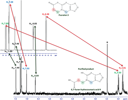 Figure 9. Comparison of 1H NMR (300 MHz, CDCl3) spectra of psoralen 3 with the 6,7-furan-hydrocoumaric acid 4 purified from the T21F8 + P scaled extract. * MeOH residual.