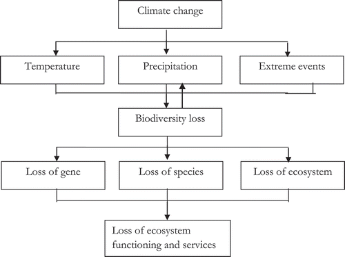 Figure 1. Link between climate change and its impacts on biodiversity and ecosystem services, and the impact of biodiversity loss on climate change.