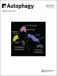 Cover image for Autophagy, Volume 14, Issue 9, 2018