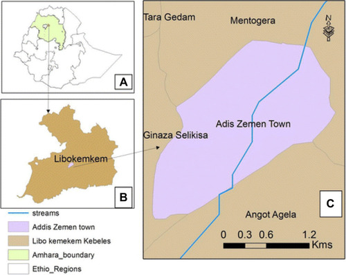 Figure 1 Map of the study area (Libokemkem district) (source: Kindu et al, 2018).