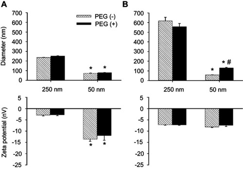 Figure 1 Diameter and ς-potential of MNPs with or without PEG. Particle size and ζ-potential of MNPs were measured in phosphate-buffered saline (PBS, A) or serum (B). The values shown are mean ± SE (n=3–4). *,#p<0.05 compared with the corresponding 250 nm particles and PEG(–) groups, respectively.