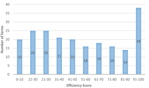 Figure 1. Distribution of technical efficiency scores.