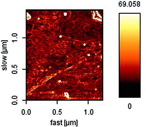 Figure 4. AFM image of ART loaded spherical core shell micelles.