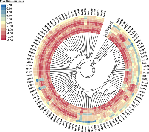 Figure 3 Phylogenetic tree and heat map of drug resistance levels constructed based on ITS sequences. The heat map shows the drug resistance index for different strains of antifungal drugs. The outermost circle shows the strain number, with each column representing a strain, and each row representing an antifungal drug. The heat map values indicate the drug resistance index, which is calculated as the logarithm of the MIC value obtained from drug susceptibility testing.
