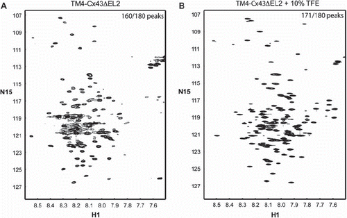 Figure 7. 15N-HSQC spectra of the TM4-Cx43CTΔEL2 solubilized in LPPG micelles. (A) TM4-Cx43CTΔEL2 spectrum collected under conditions optimized for the TM4-Cx43CT (MES buffer [pH 5.8], 8% LPPG, 42°C). (B) Spectrum of the TM4-Cx43CTΔEL2 in the buffer from A plus 10% TFE. Observed versus expected peaks are given in the top right corner of each of the spectra.