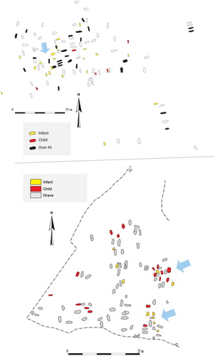 FIG 6. Top: Apple Down, West Sussex. This illustration shows the majority of inhumation graves, cremations are not included because age determination is impossible. Note the concentration of older adults and infants marked by the arrow. Bottom: Berinsfield, Oxfordshire. Berinsfield has two groups of graves oriented S/N and W/E and it also has two distinct concentration of infants and children marked with the arrows. Drawn by D Sayer ©.