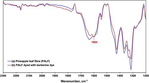 Figure 8. The ATR-FTIR spectra of (a) Pineapple leaf fibre (PALF) and (b) PALF dyed with berberine dye (contact time 60 min, pH 9.0, and initial concentrations of berberine dye solution 250 mg L−1).